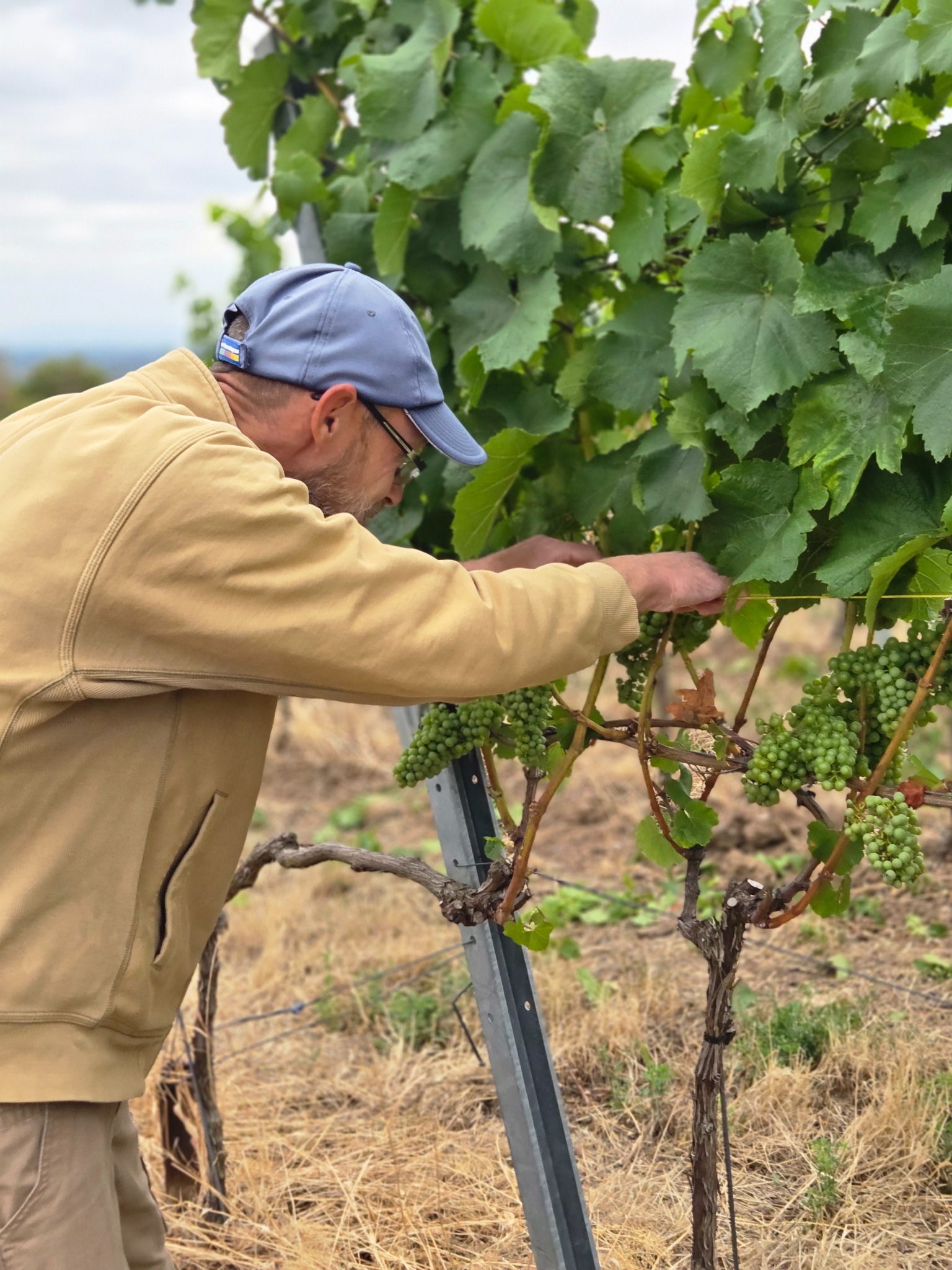 Weinreise und Weingutsbesuch